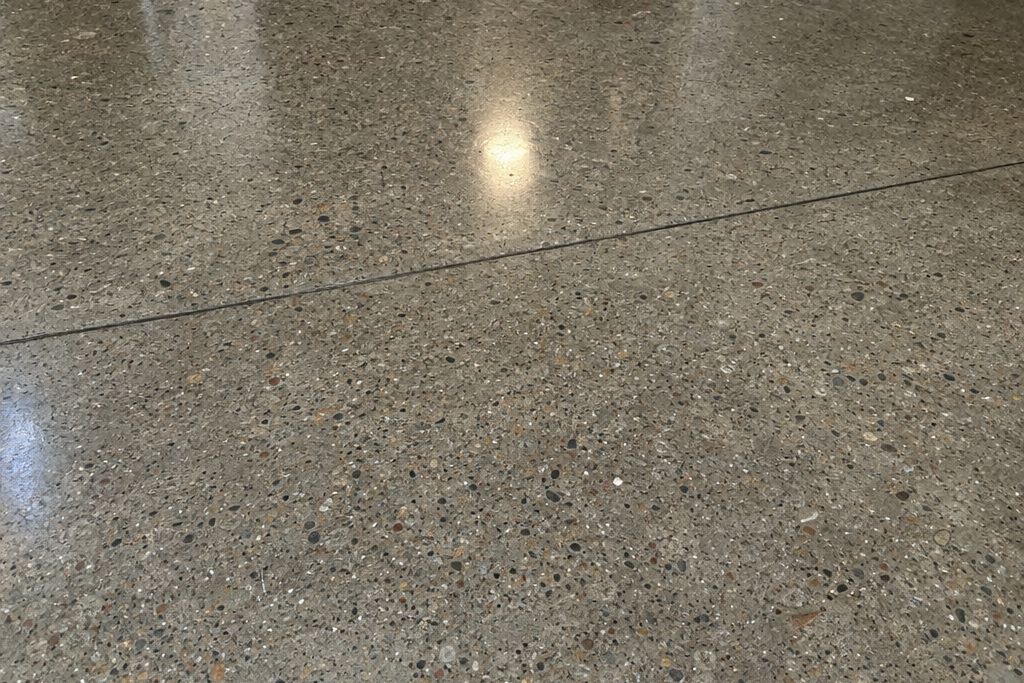 Close view of polished concrete with salt-and-pepper fine aggregate exposure and a moderate gloss